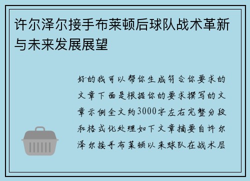 许尔泽尔接手布莱顿后球队战术革新与未来发展展望 许尔泽尔接手布莱顿后球队战术革新与未来发展展望